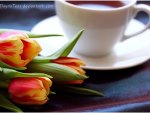 Tulips and Tea