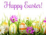Happy Easter!