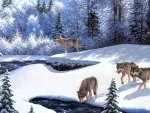 Winter Wolves