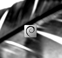 Black & white feather 1920*1080