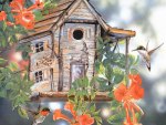 Hummingbird Birdhouse