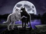 wolf love