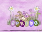 Spring Bunny