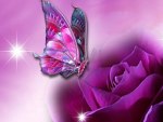 PurpleButterfly