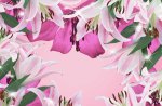 Pink Lilies
