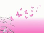 butterfly, beauty,pink, design
