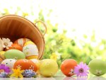 Easter Decoration with eggs and flowers