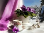 Cup of tea and purple flowers