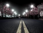 Night Roadway