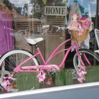 Country Shop Window Display