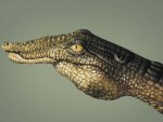 Crocodile Hand