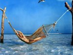 Hammock in Paradise