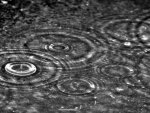 Drops and Ripples