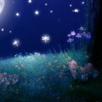 âœ°Twilight with Dragonfliesâœ°