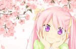 Sakura Miku