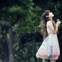 The scattered petals