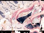 ~Sakura Miku~