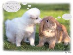 some bunny luvs you