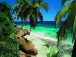 Tropical Beach