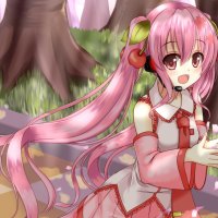 Sakura Miku