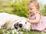 cute  girl playing with dog