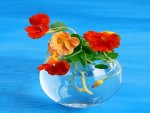 Flowers in glass vase