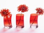 Red Flowers in red Glasses
