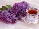 Tea and lilac flowers