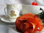 Rose and cup 