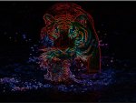 Neon Tiger