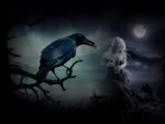 ~The Raven~