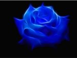 Blue Rose
