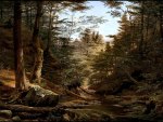 1800's New York Wilderness 2