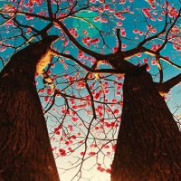 Doorway to enlightenment