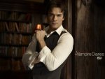 THE VAMPIRE DIARIES