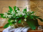 Lily of the valley