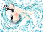 Bottle Miku