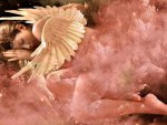 ~Sleeping Angel~