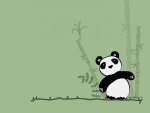 Pandas Bear!