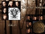 Twilight- quileute wolfpack& volturi