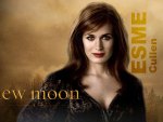 Twilight- Esme Cullen