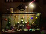 ~Aquarium~