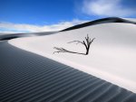 The White Sand Dunes