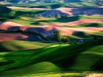 Colorful hills