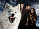 Twilight Wolf