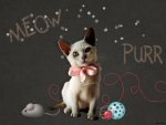 Meow Purr