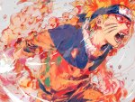 Naruto's Fury