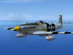 P-51D Mustang "Snooks"