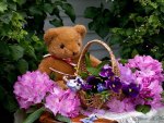 Teddy bear and flower basket