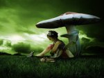Mushroom Dreams